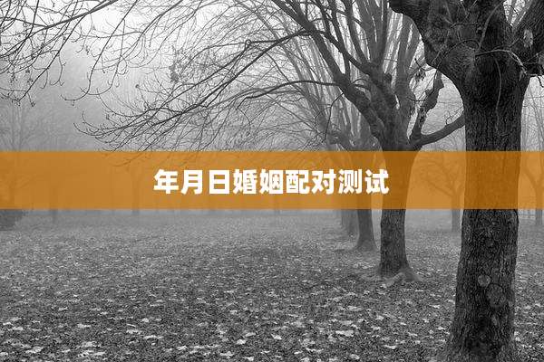 年月日婚姻配对测试