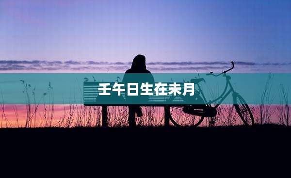 壬午日生在未月
