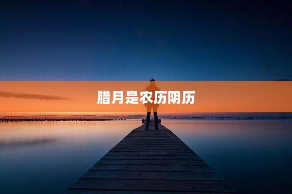 腊月是农历阴历