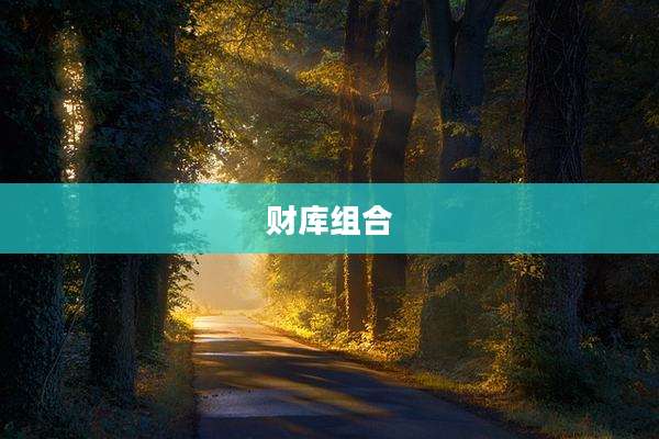 财库组合