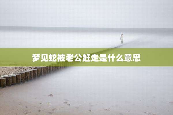 梦见蛇被老公赶走是什么意思
