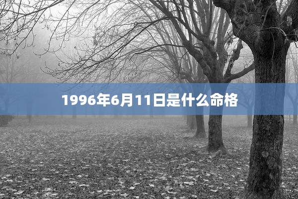 1996年6月11日是什么命格