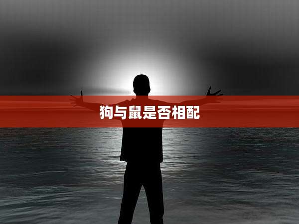 狗与鼠是否相配