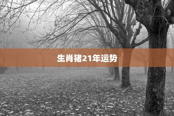 生肖猪21年运势