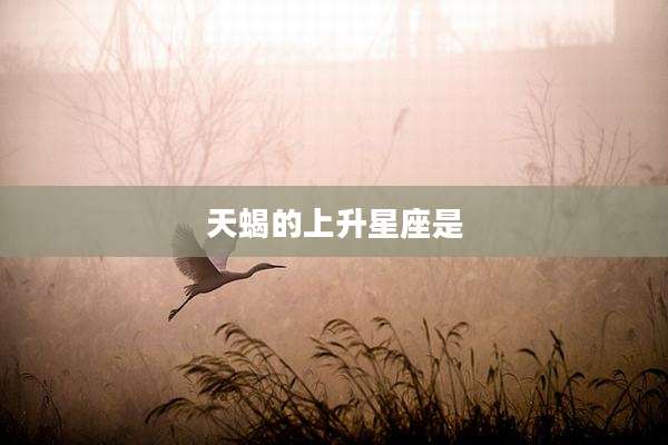 天蝎的上升星座是