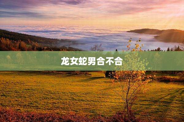 龙女蛇男合不合