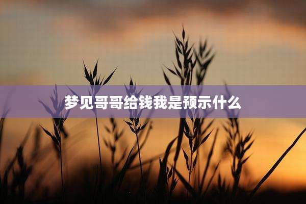 梦见哥哥给钱我是预示什么