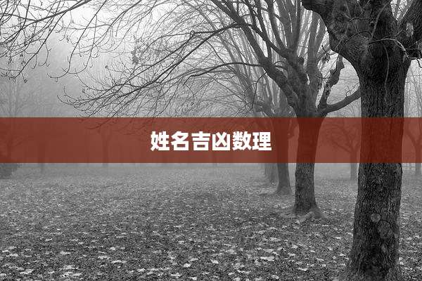 姓名吉凶数理