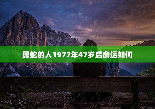 属蛇的人1977年47岁后命运如何
