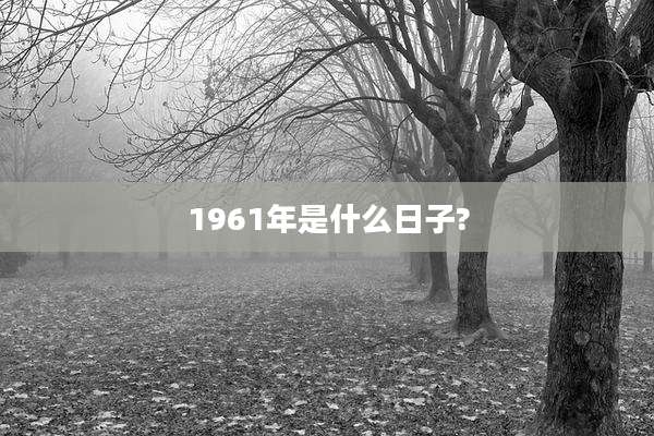 1961年是什么日子?
