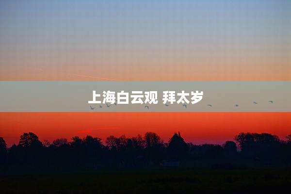 上海白云观 拜太岁