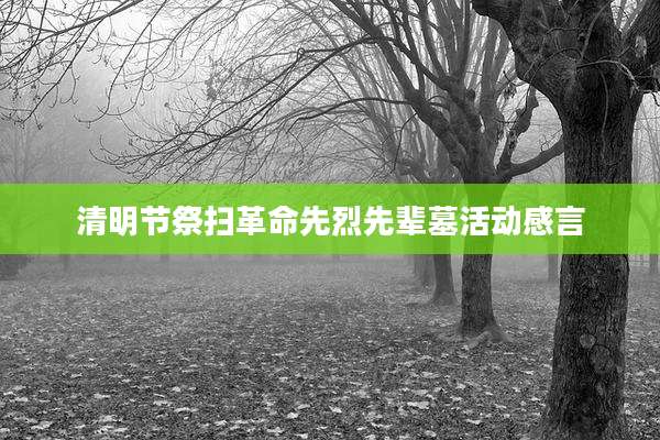 清明节祭扫革命先烈先辈墓活动感言