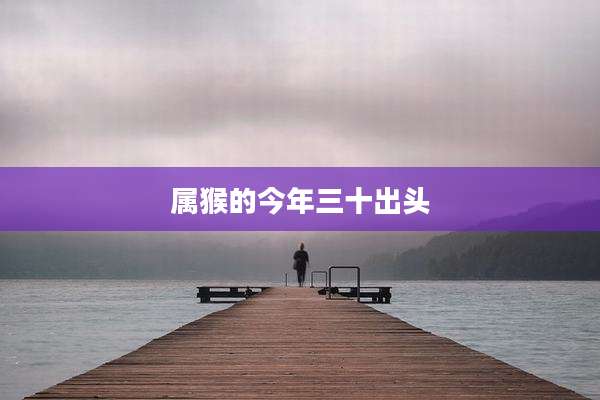 属猴的今年三十出头