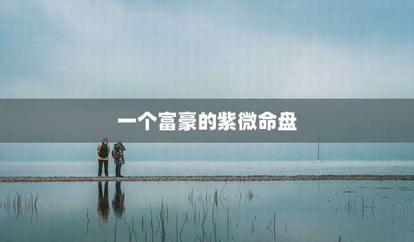 一个富豪的紫微命盘