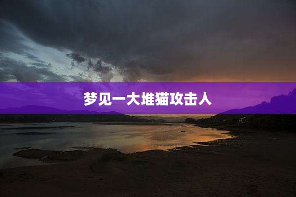 梦见一大堆猫攻击人
