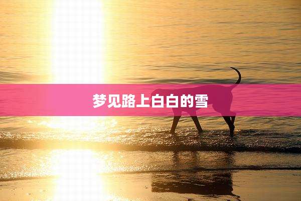 梦见路上白白的雪