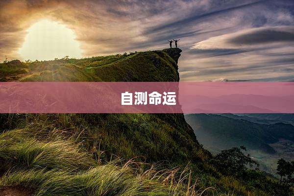 自测命运