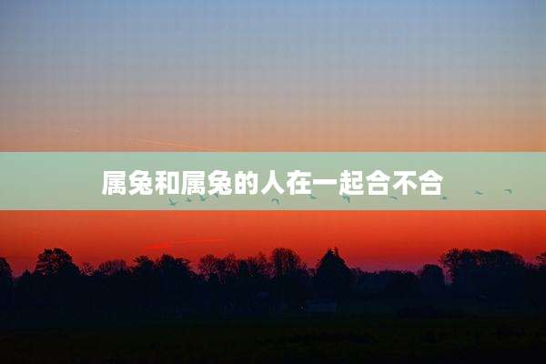 属兔和属兔的人在一起合不合