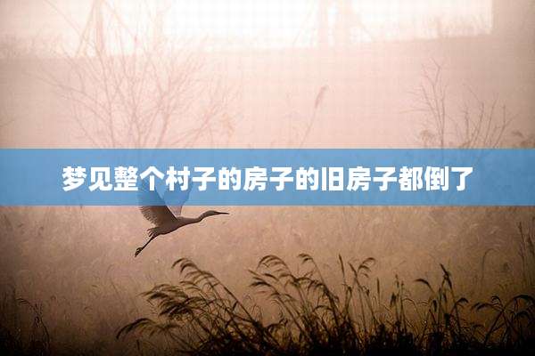 梦见整个村子的房子的旧房子都倒了