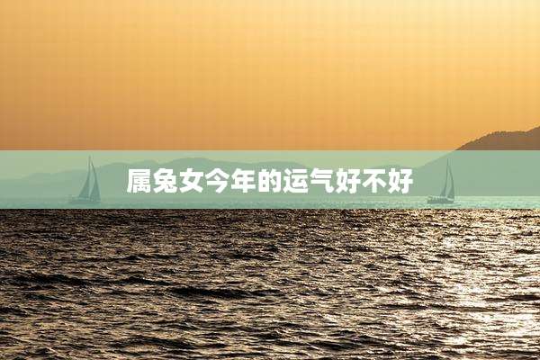 属兔女今年的运气好不好