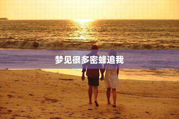 梦见很多密蜂追我