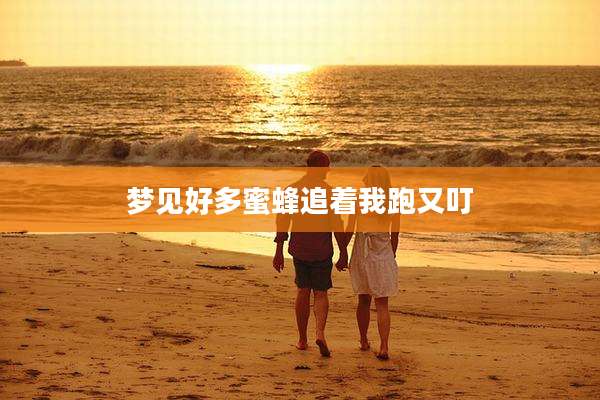 梦见好多蜜蜂追着我跑又叮