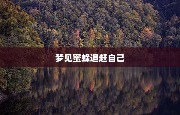 梦见蜜蜂追赶自己