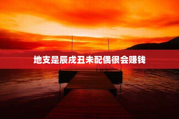 地支是辰戌丑未配偶很会赚钱