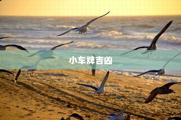 小车牌吉凶