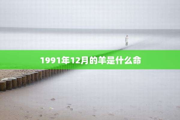 1991年12月的羊是什么命