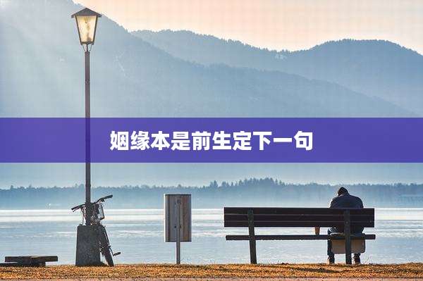 姻缘本是前生定下一句
