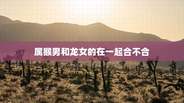 属猴男和龙女的在一起合不合