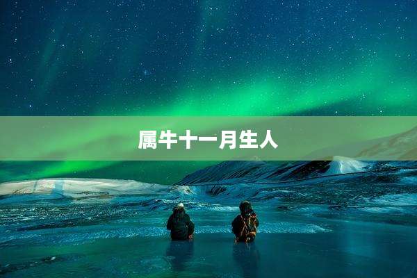 属牛十一月生人