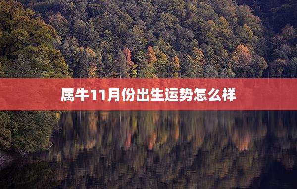 属牛11月份出生运势怎么样