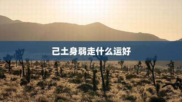 己土身弱走什么运好