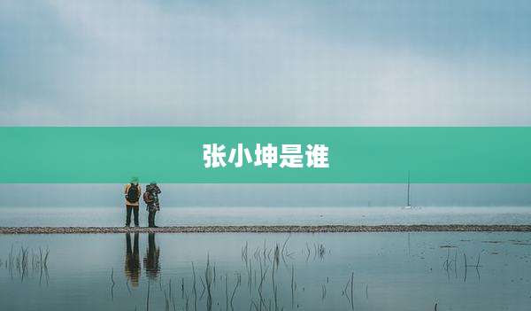 张小坤是谁