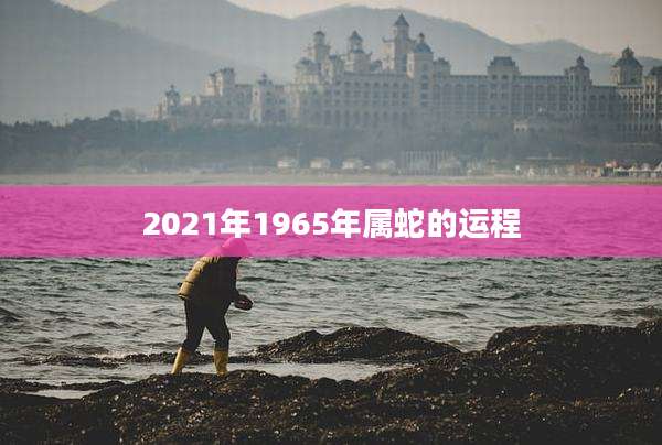 2021年1965年属蛇的运程