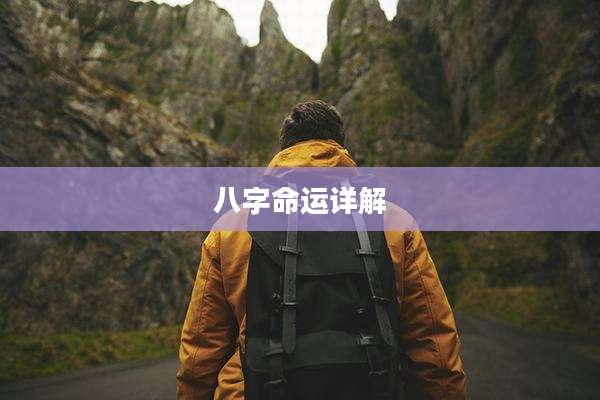 八字命运详解