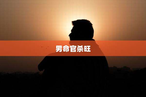 男命官杀旺