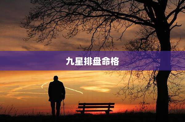 九星排盘命格