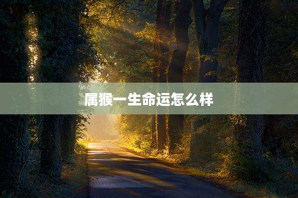 属猴一生命运怎么样