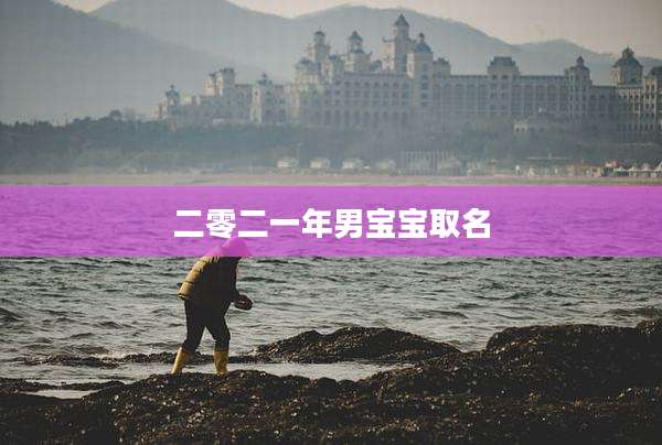 二零二一年男宝宝取名