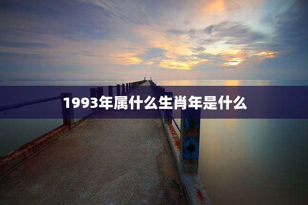 1993年属什么生肖年是什么