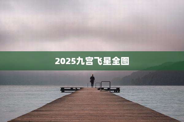 2025九宫飞星全图