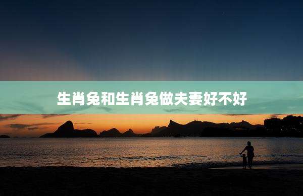 生肖兔和生肖兔做夫妻好不好