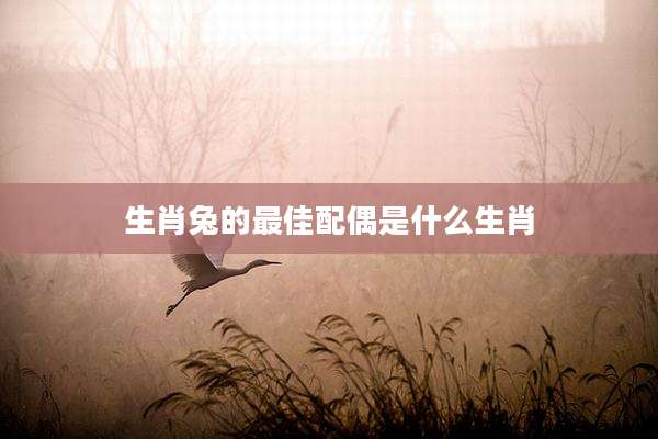 生肖兔的最佳配偶是什么生肖