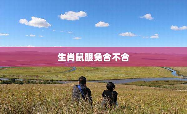 生肖鼠跟兔合不合