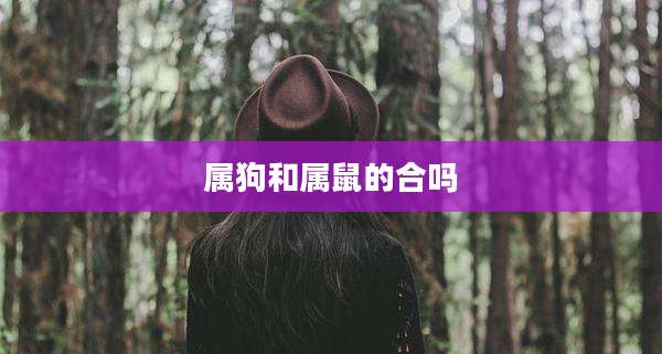 属狗和属鼠的合吗
