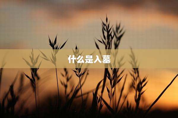 什么是入墓
