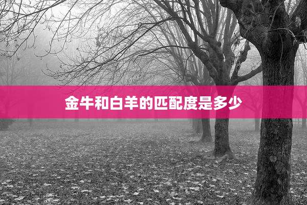 金牛和白羊的匹配度是多少